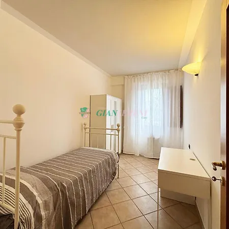 Palme Daire San Vincenzo