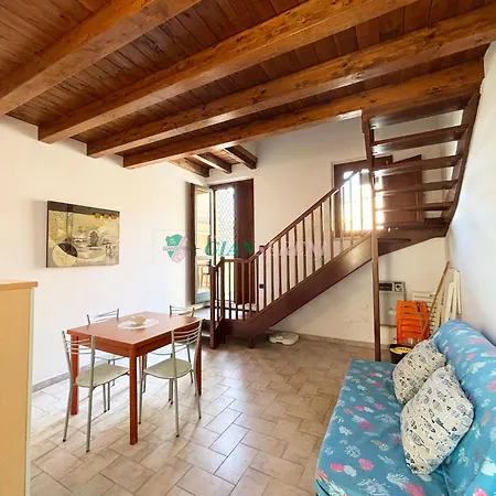 Palme San Vincenzo