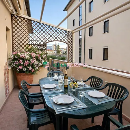 Palme Daire