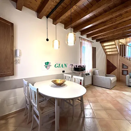 Palme San Vincenzo